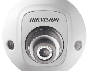 IP-камера Hikvision DS-2CD2543G0-IWS