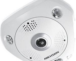 IP-камера Hikvision DS-2CD6W32FWD-IVS